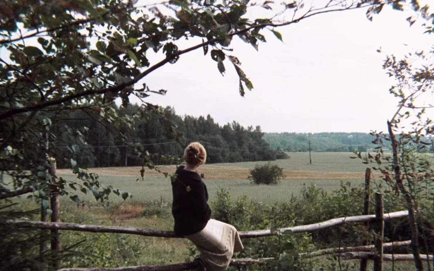 【来自荒野】第一幕-引子